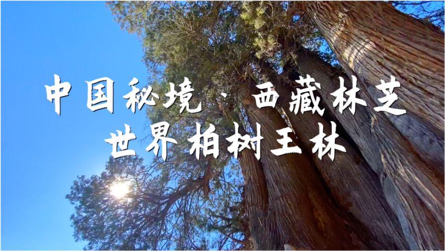 市人大代表、通州区工商业联合会主席赵静:构建“亲”“清”政商关系,持续优化营商环境