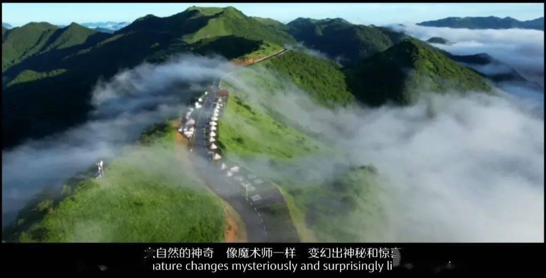 自考毕业答辩游戏画面