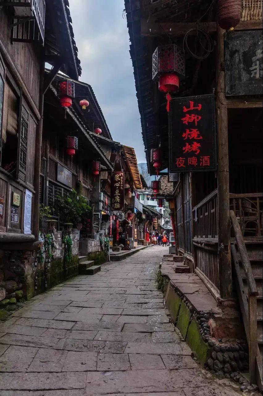 委员履职风采|李灵芝:俯身大地 助农增收