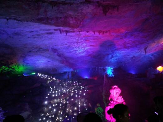 （新春走基层）福建周宁：“花”样致富路 助力乡村振兴